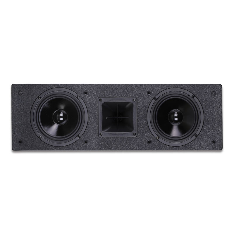 Wall Mount Speaker - TL-2650 Custom High Quality Large 300W