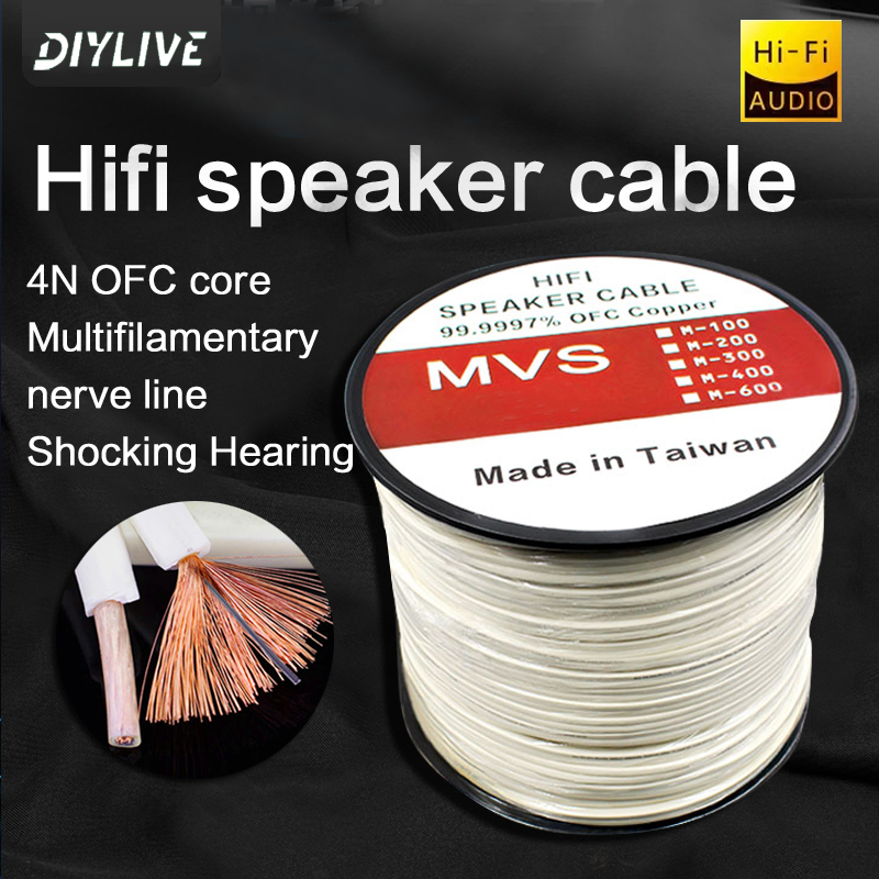 Home Cinema Xlr - DIYLIVE HiFi Loa Dòng Nhà Điện