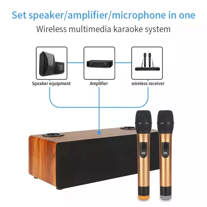 Professional Karaoke Wireless  - đánh giá và giá Home Cinema Audio System