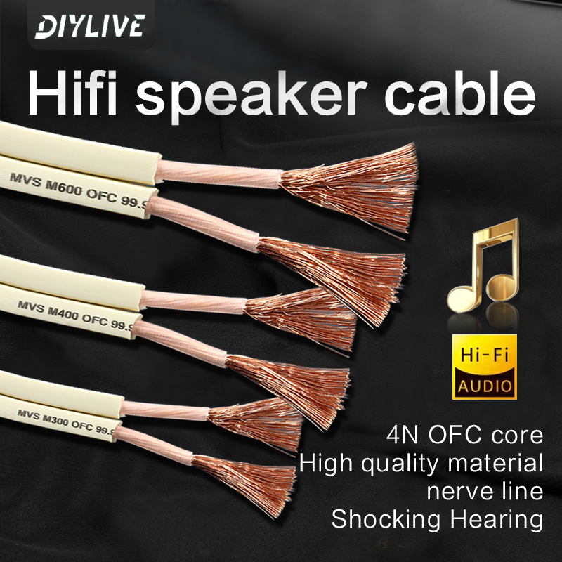 DIYLIVE HiFi Loa Dòng Nhà Điện - đánh giá và giá Home Cinema Xlr