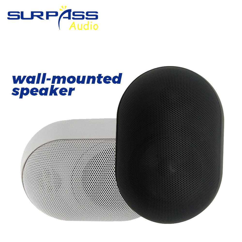 30W Wall-mounted Speaker Water - đánh giá và giá Wall Mount Speaker