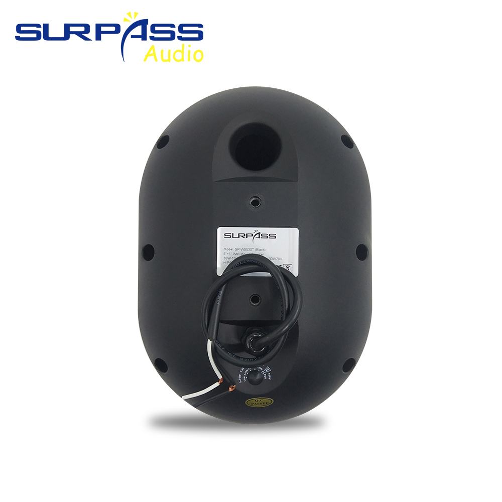 30W Wall-mounted Speaker Water - đánh giá và giá Wall Mount Speaker