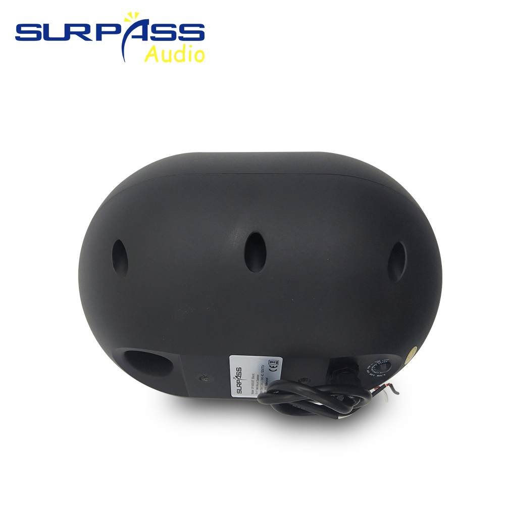 30W Wall-mounted Speaker Water - đánh giá và giá Wall Mount Speaker